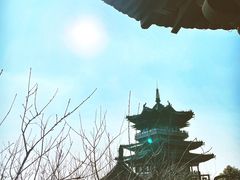 -杭州半山国家森林公园