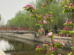 -海棠花溪(元大都城垣遗址公园)