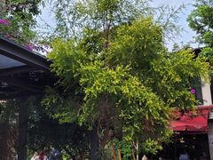 -花间茶(华侨城创意园店)