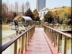 -新虹桥中心花园
