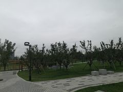 -秦文明广场
