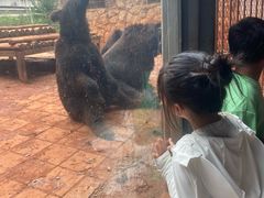 -昆明动物园
