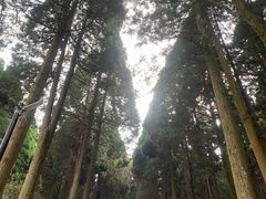 -上色见熊野座神社