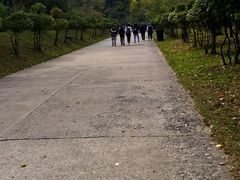 -哈尔滨北方森林动物园