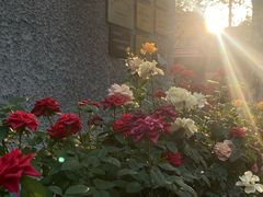 -上海孙中山故居纪念馆