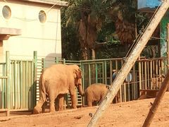 -昆明动物园