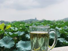 -湖畔居茶楼(湖滨店)