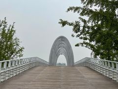 -大兴滨河森林公园