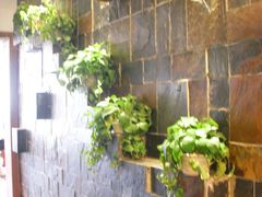 大堂-院落创意菜