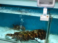 -盒马鲜生(枣园路店)