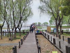 -苏州太湖湖滨国家湿地公园