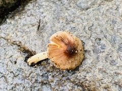 -碓臼峪自然风景区