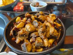 -志晖园圆子鸡·辣子鸡(阳光店)