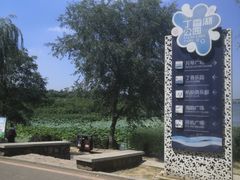 -丁香湖公园