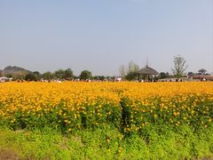 -径山花海