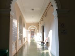-香港大学