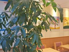 -德克士(砂之船奥特莱斯店)