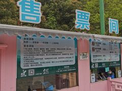 -衢州大荫山丛林飞越探险乐园