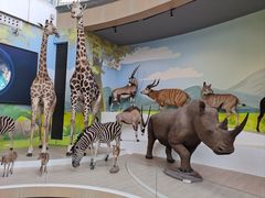 -陕西自然博物馆