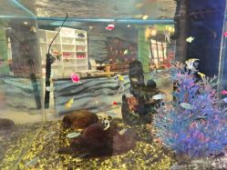 -酷嗒动物文化乐园(cutezoo西溪乐天城店)