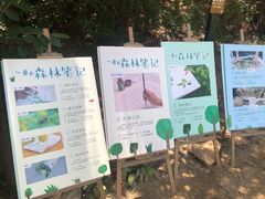 -云峰山自然风景区