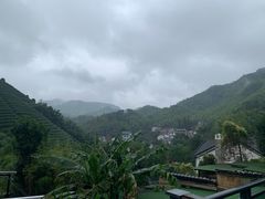 -心无尘茶餐馆(径山村店)