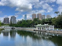 -溪岸路花鸟市场