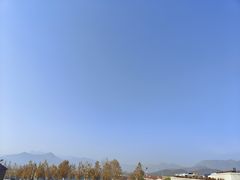 -君乐宝优致牧场