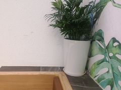 -丹礼糖甜品