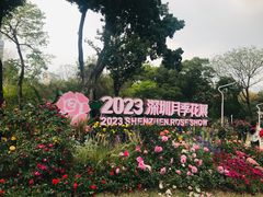 -人民公园(罗湖区)