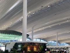 -广州白云国际机场-T2航站楼