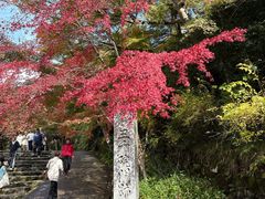-三千院
