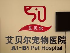 -艾贝尔宠物医院 ·内科全科(梁溪路店)