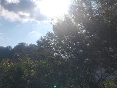 -终南山国家森林公园