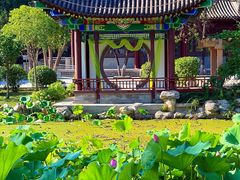 -莲湖公园