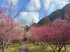 -五泄景区