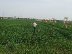 -嘉北郊野公园