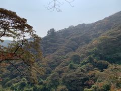 -黄埔油麻山森林公园