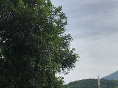 -无锡动物园·太湖欢乐园