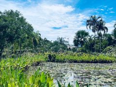 -中国科学院西双版纳热带植物园