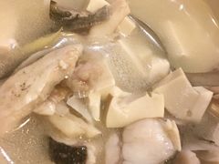 鱼头豆腐汤-聂记粤菜馆(鼓西路店)