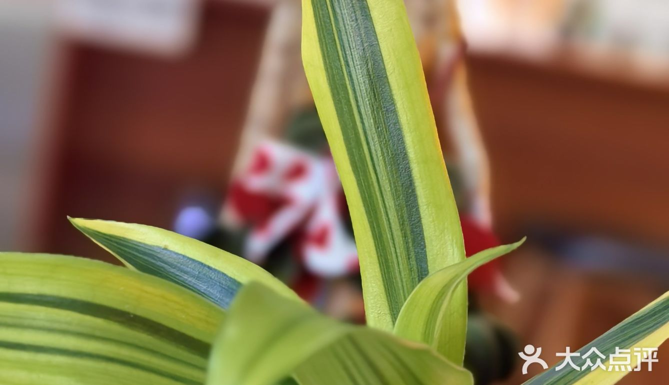 柔香缕缕心情好