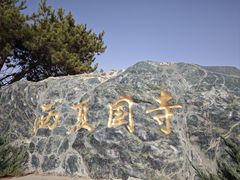 -张掖大佛寺景区