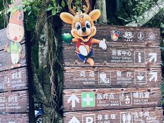-海南热带野生动植物园