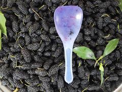 -迪庆藏族自治州博物馆