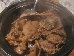 -宋小谨(惠安禹洲店)