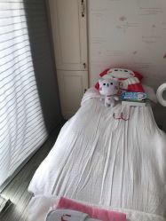 -咪咪比基尼脱毛专业店