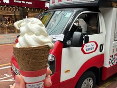 -富豪雪糕车流动点(尖沙咀店)