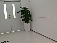 -极简口腔(总院)