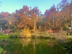 -岳麓山风景名胜区